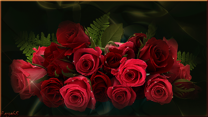 GALERIA DE IMAGENES FLORES galeria de imagenes flores: