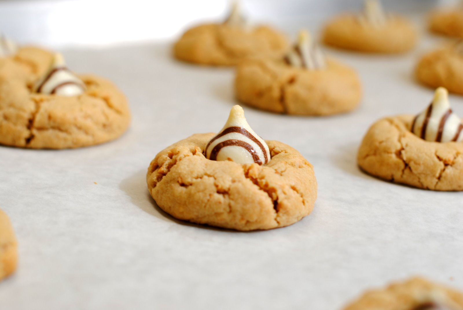 +The Church Cook Peanut Blossom Cookies