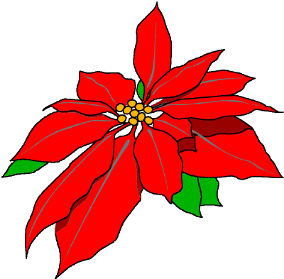 Featured image of post Dibujo Flor De Pascua Poinsetia flor de pascua dibujos para colorear