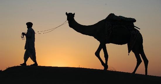 http://4.bp.blogspot.com/-jcJPWRWSXU0/VmurQAPsdeI/AAAAAAAAA9w/4WVLx96lRQ4/w1200-h630-p-nu/jamba-sunset-camel.jpg