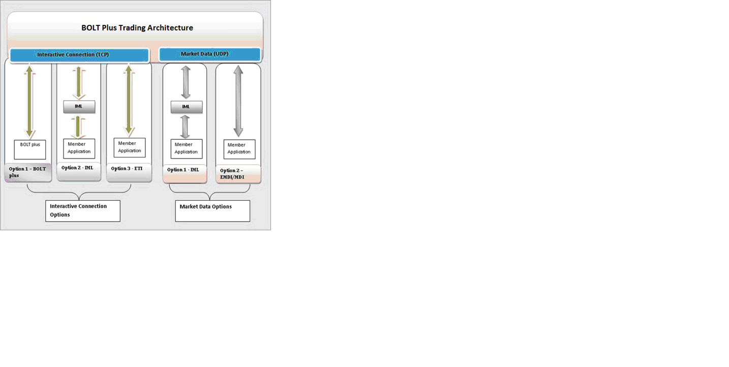 Mx options trading simulation
