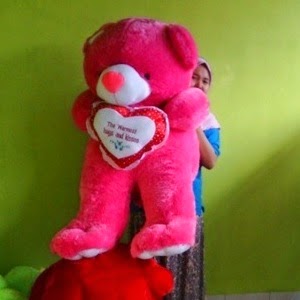 Boneka Beruang Besar Pink boneka beruang warna pink