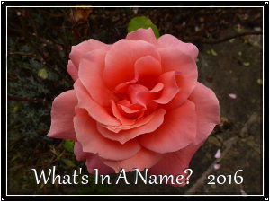 WHAT'S IN A NAME? 2016 DETAILS & SIGN UP.