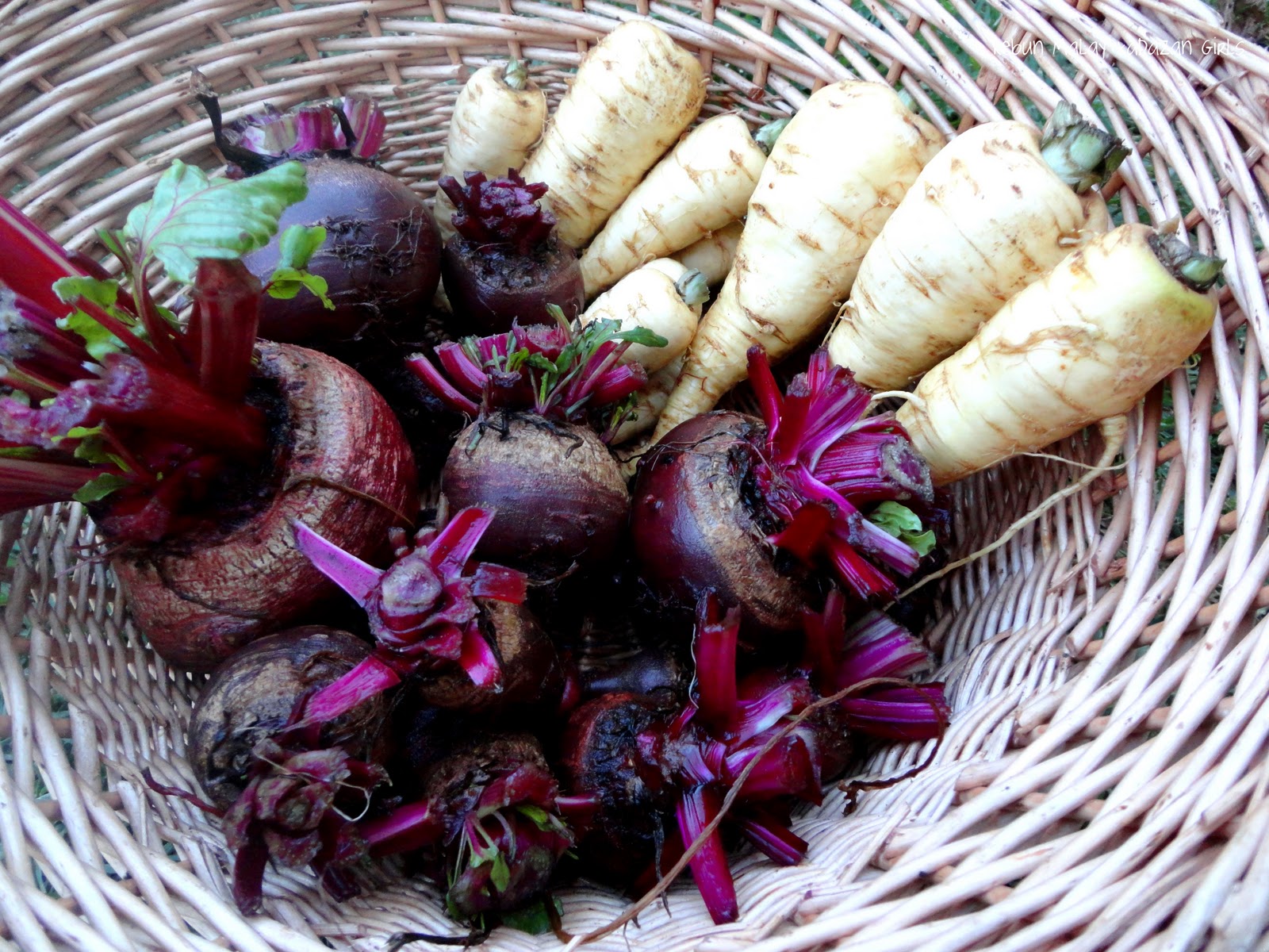 Kebun MalayKadazan girls Begedil Beetroot (Beetroot Croquettes)