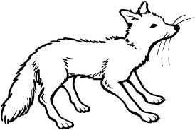 Free Animal Fox Coloring Printable Pages