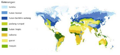 Keanekaragaman Flora Dan Fauna Di Dunia Dan Indonesia