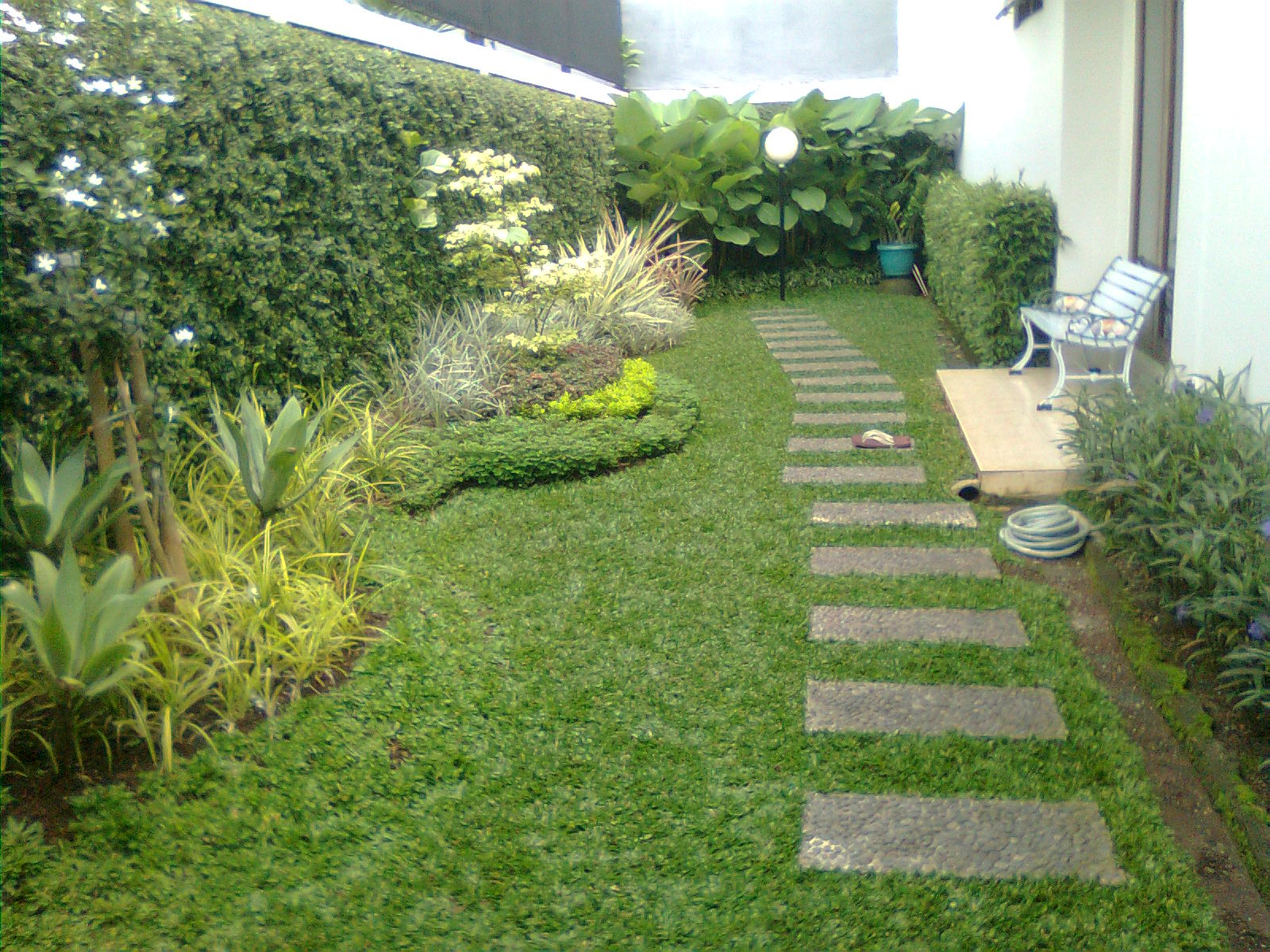 jual rumput gajah mini,tanaman hias,jasa ahli taman,rekonstruksi taman