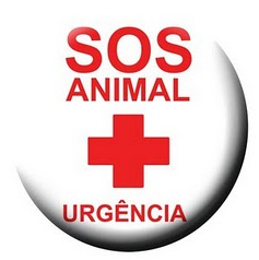 K Sos Dog Training Tallahassee K Sos Dog Training Tallahassee