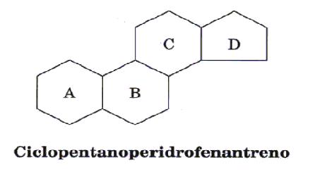 Esteroides ciclopentanoperidrofenantreno