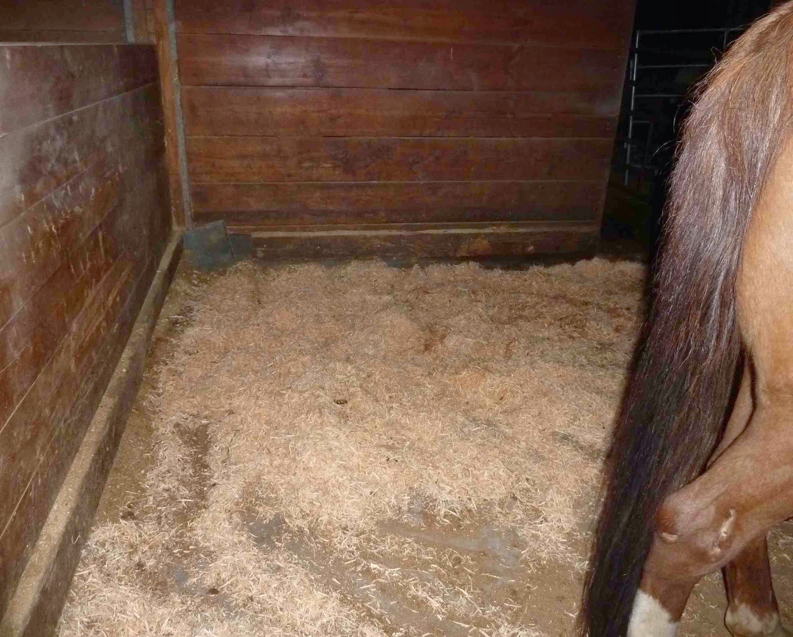 Boulderneigh Playground powwow