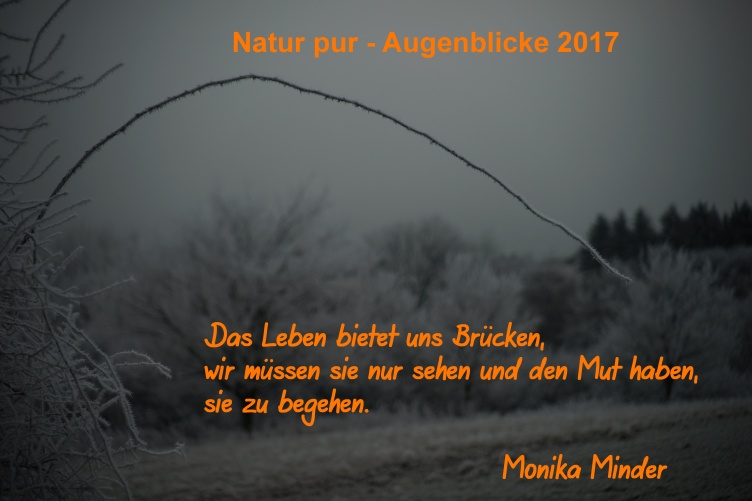  Natur pur - Augenblicke 2017