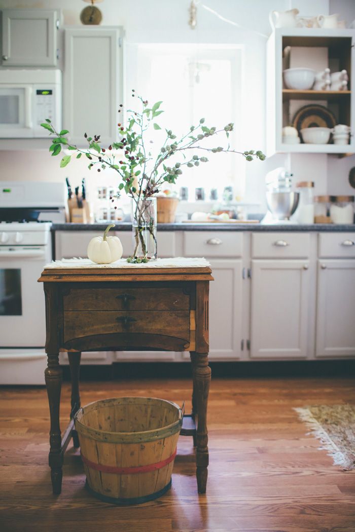 Stickers Kitchen Cabinets Flies Bugs Stickers Kitchen Cabinets Flies Bugs