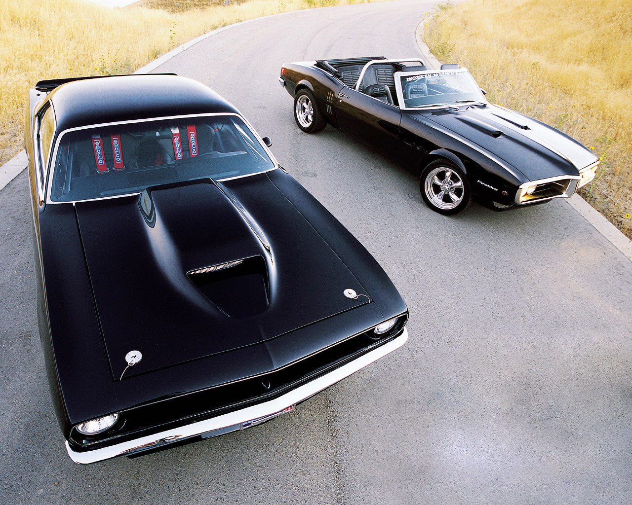 Cars Custom
