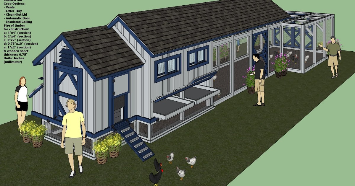 Chapter How big should a chicken coop be for 50 chickens Lia run