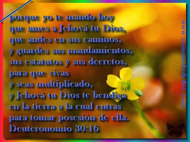 top paginas de citas gratis