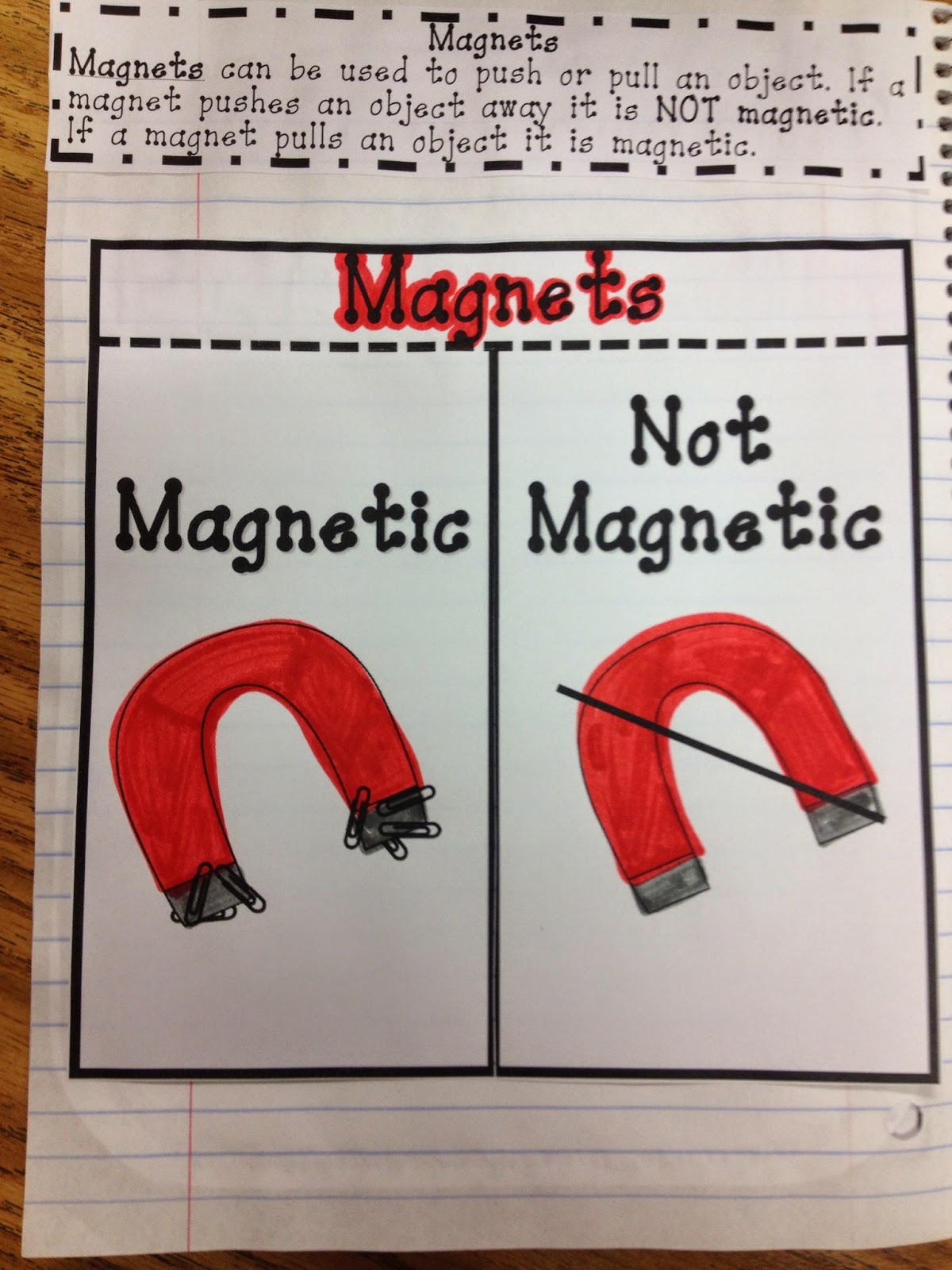 Live, Laugh, Teach First Grade Science Interactive Notebook!!