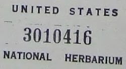 United States National Herbarium