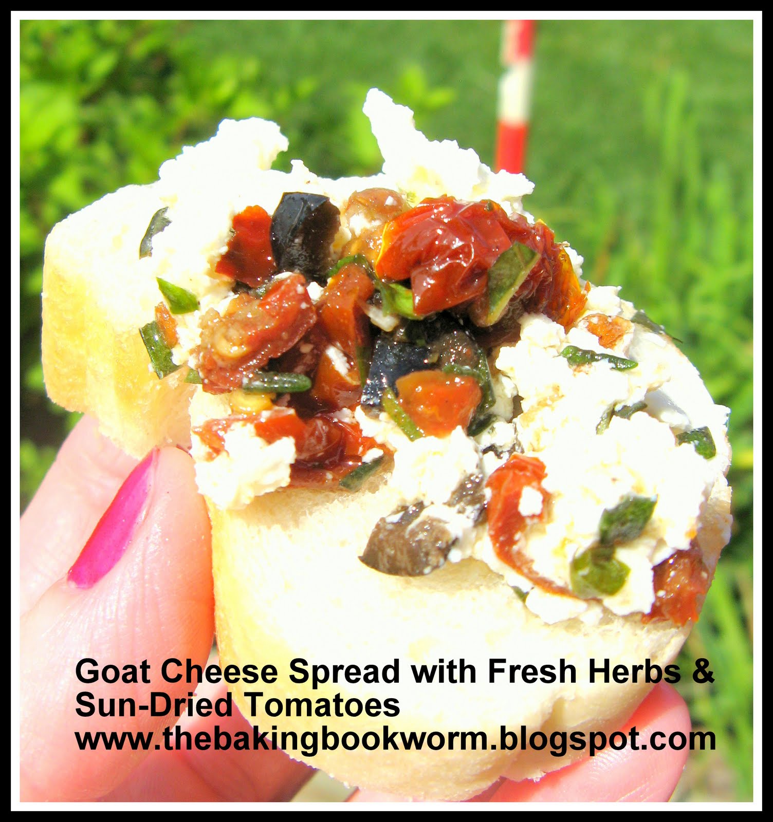 The Baking Bookworm Goat Cheese Spread with Fresh Herbs & SunDried