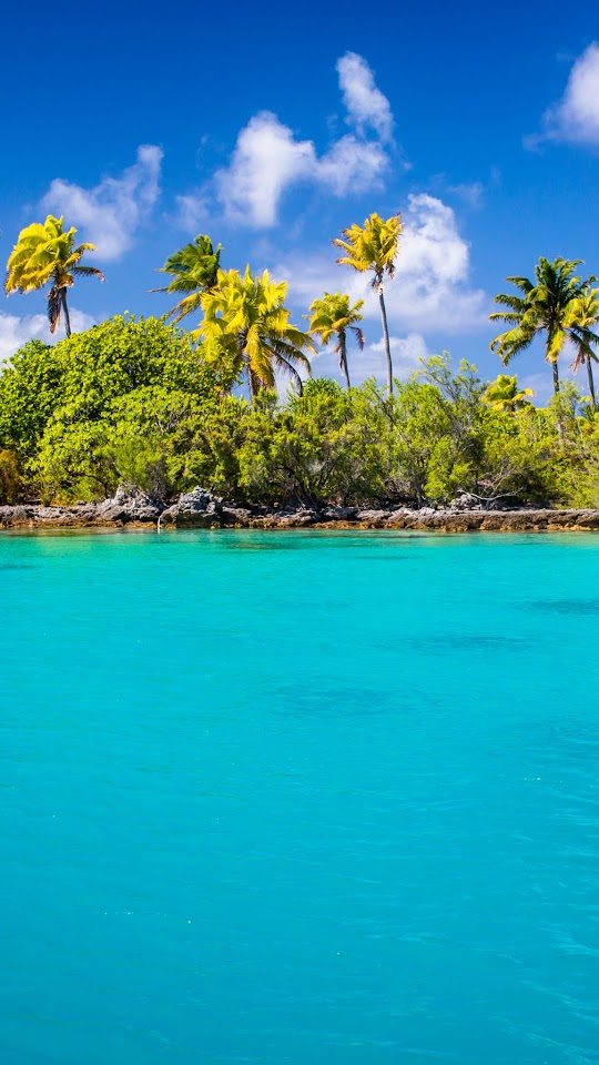 Exotic Blue Lagoon Android Wallpaper