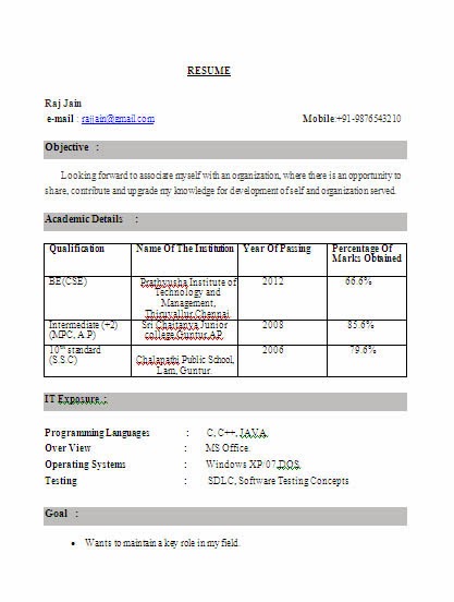 resume for freshers cse plks tk cse format