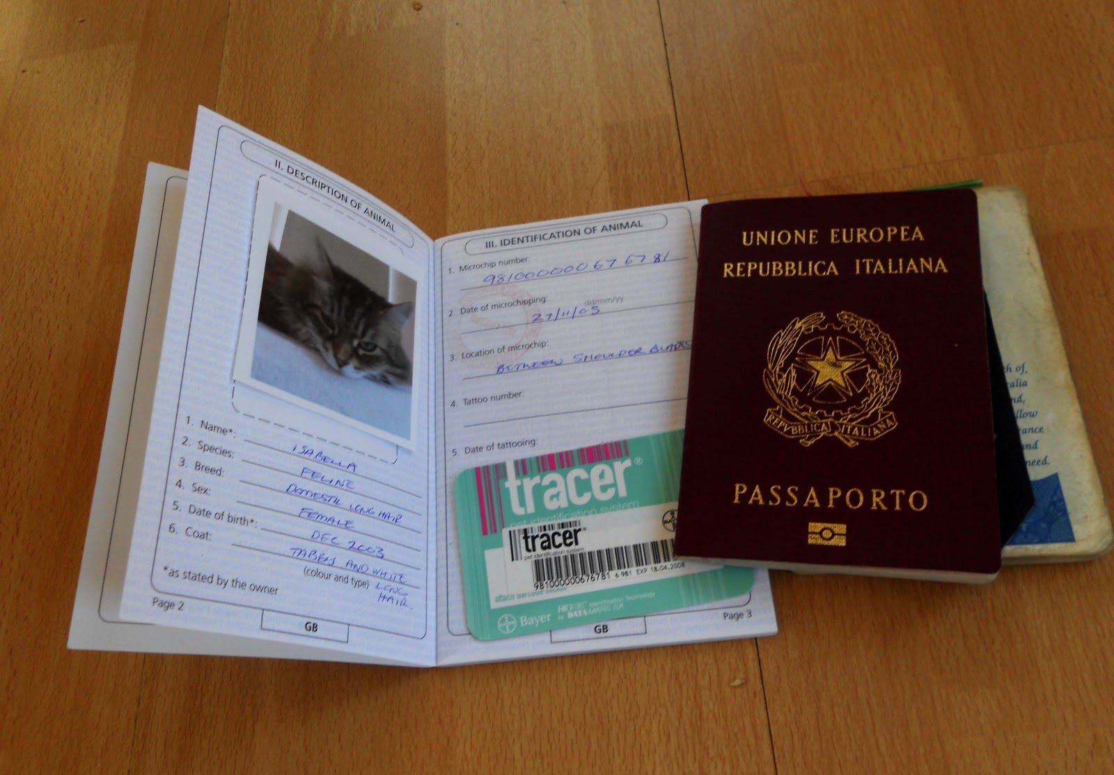 My Silly Owners Passport Renewal and Pet Transport