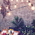 Canada Day party ideas!