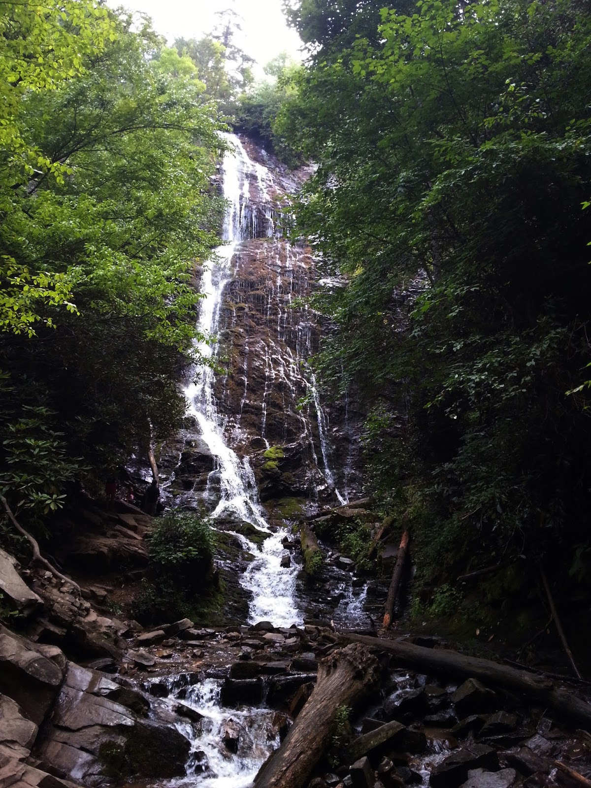 Smoky Scout's Hiking Adventures Lookout Towers & Waterfalls Cherokee, NC