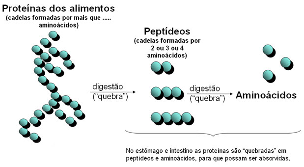 Processamento de uma pescada polaca de parasitas