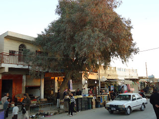 قلعة صالح قضاء قلعة صالح DSC00065.JPG