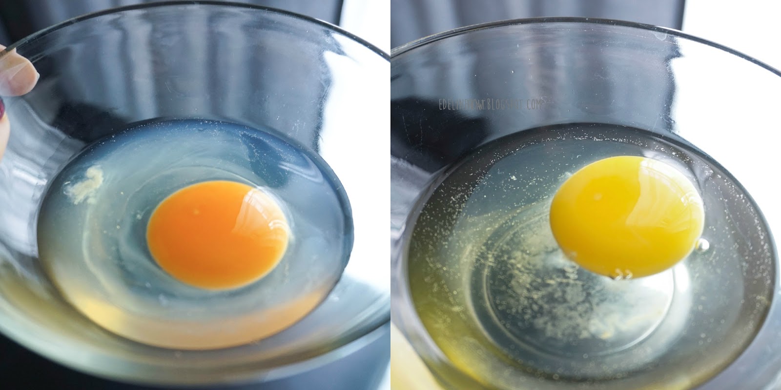 Edeline How Review Pasteurized Eggs Vs Regular Eggs