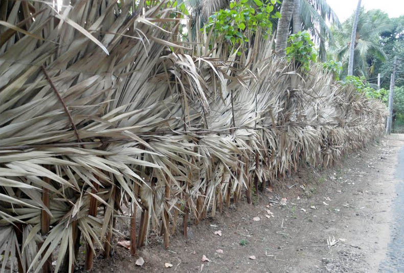 à®¤à¯à®à®°à¯à®ªà¯à®à¯à®¯ à®ªà®à®®à¯