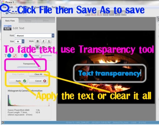 how to add text to photos in picasa