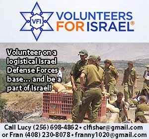 Volunteers for Israel
