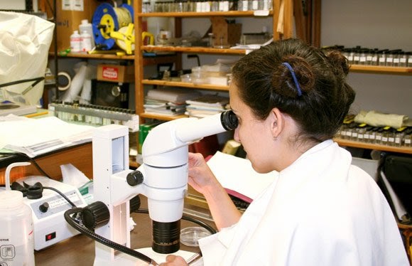 Breast Cancer with Biopsy Breast Cancer with Biopsy