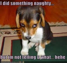 naughty+puppy+2.jpg