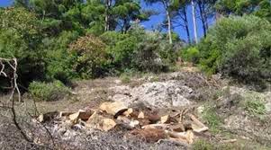 Λαθροϋλοτόμοι” για να... ζεσταθούν! Ξεκίνησε η διάθεση καυσόξυλων από το Δασαρχείο Ξάνθης Λαθροϋλοτόμοι” για να... ζεσταθούν! Ξεκίνησε η διάθεση καυσόξυλων από το Δασαρχείο Ξάνθης