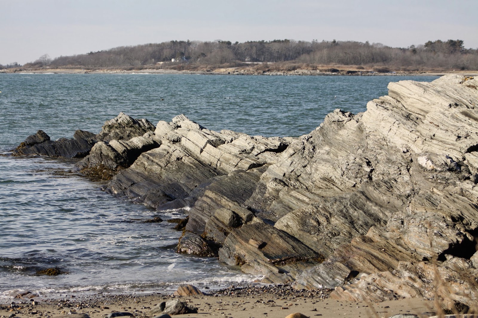 Adventures with Renee Kettle Cove Cape Elizabeth, Maine