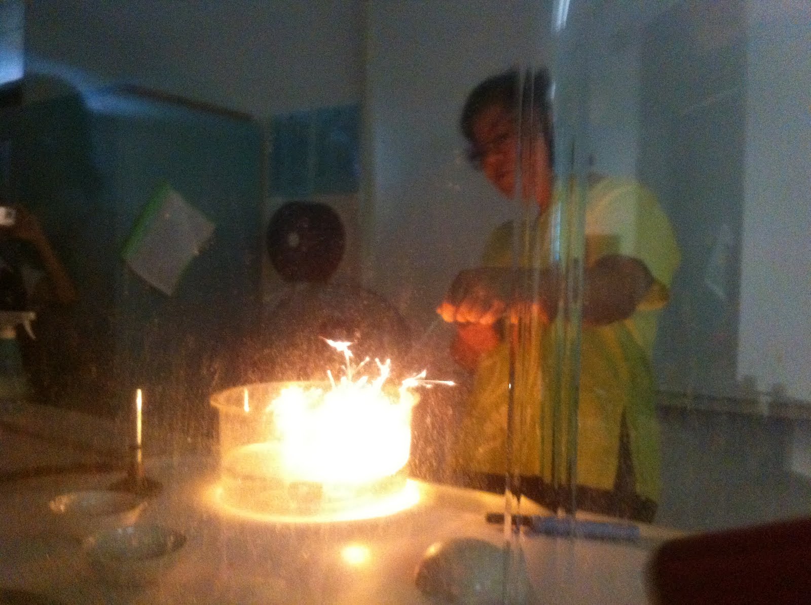 Crime Scene Investigation Chromatography and Flames