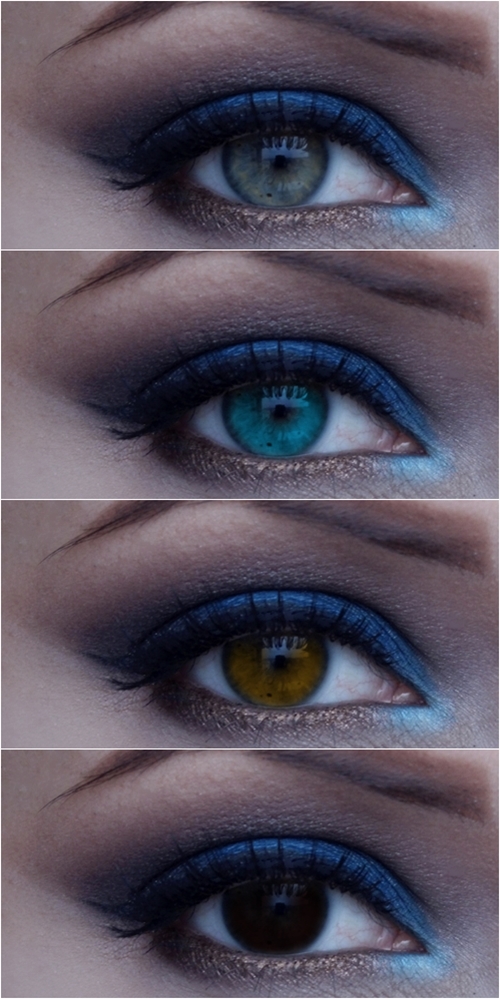 Sultry Eyes: Cobalt Blue & Chocolate Brown - Special Koko
