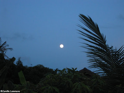 Fading full moon over Koh Samui