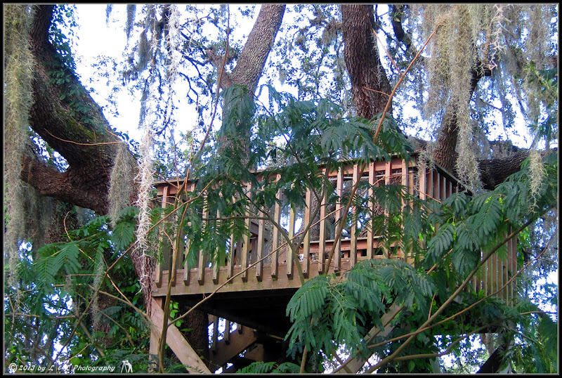 Ocala, Central Florida & Beyond Treehouse