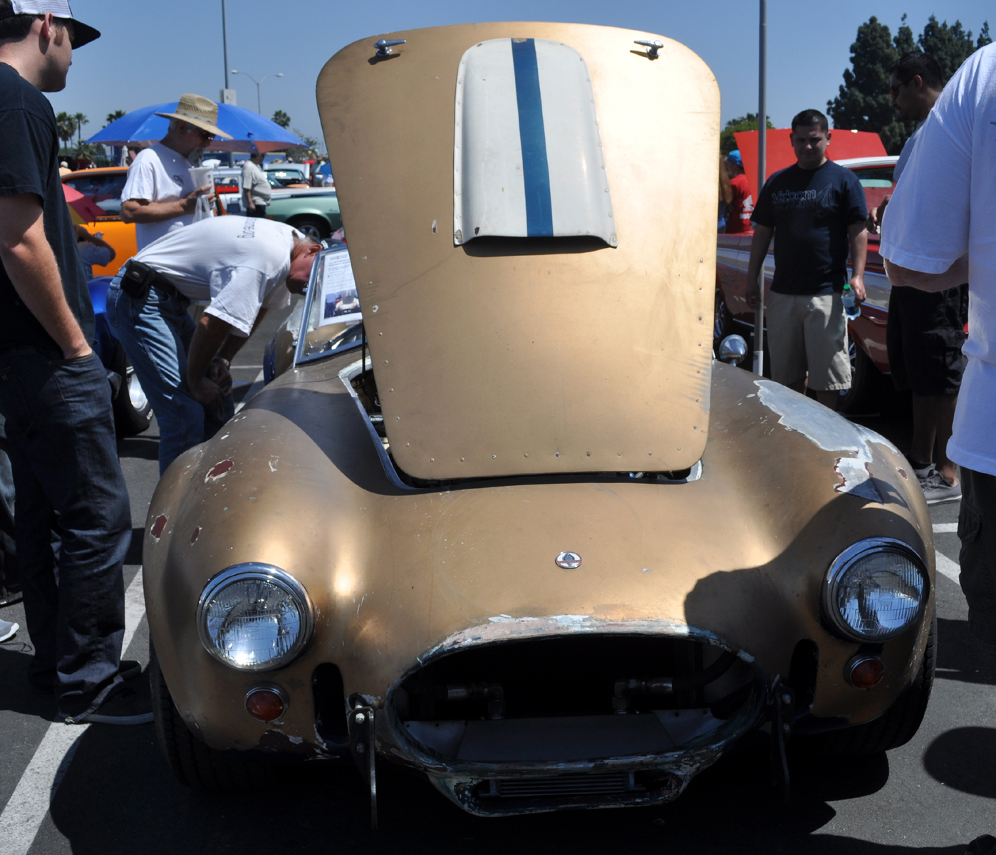 Rare Car Information The Barn Find 427 Sc Shelby Ac Cobra Csx