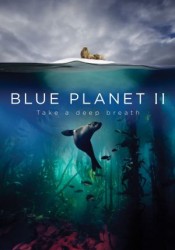 Blue Planet II Temporada 1 audio español Blue Planet II Temporada 1 audio español