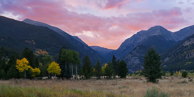 Horseshoe Park at Sunset in Rocky Mountain National Park Colorado with Elk