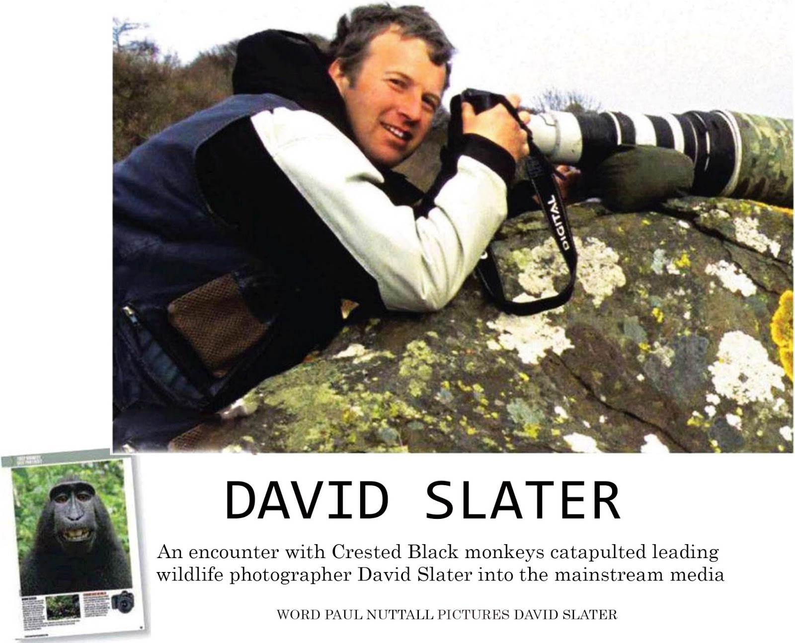 DAVID SLATER Famous and Professional Photographer Profiles