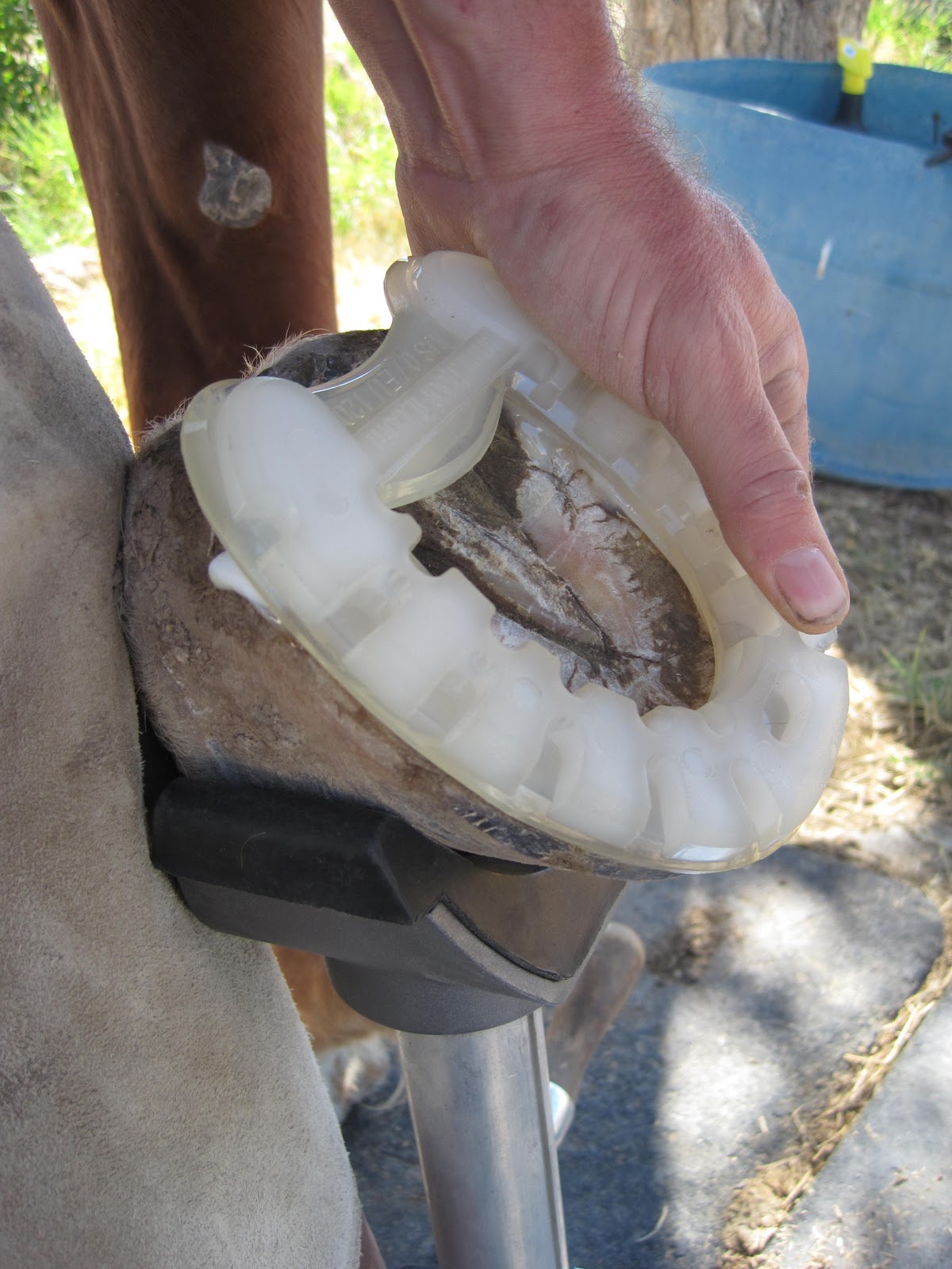 Painted D Ranch Professional Hoofcare! Using the HoofIt Natural Flex