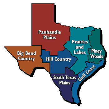 dreaming in daylight forests prairies swamps and deserts texas 4 regions of texas