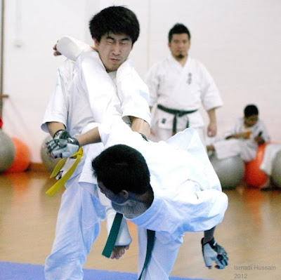 Ushiro Mawashi Geri (Reverse Roundhouse Kick)