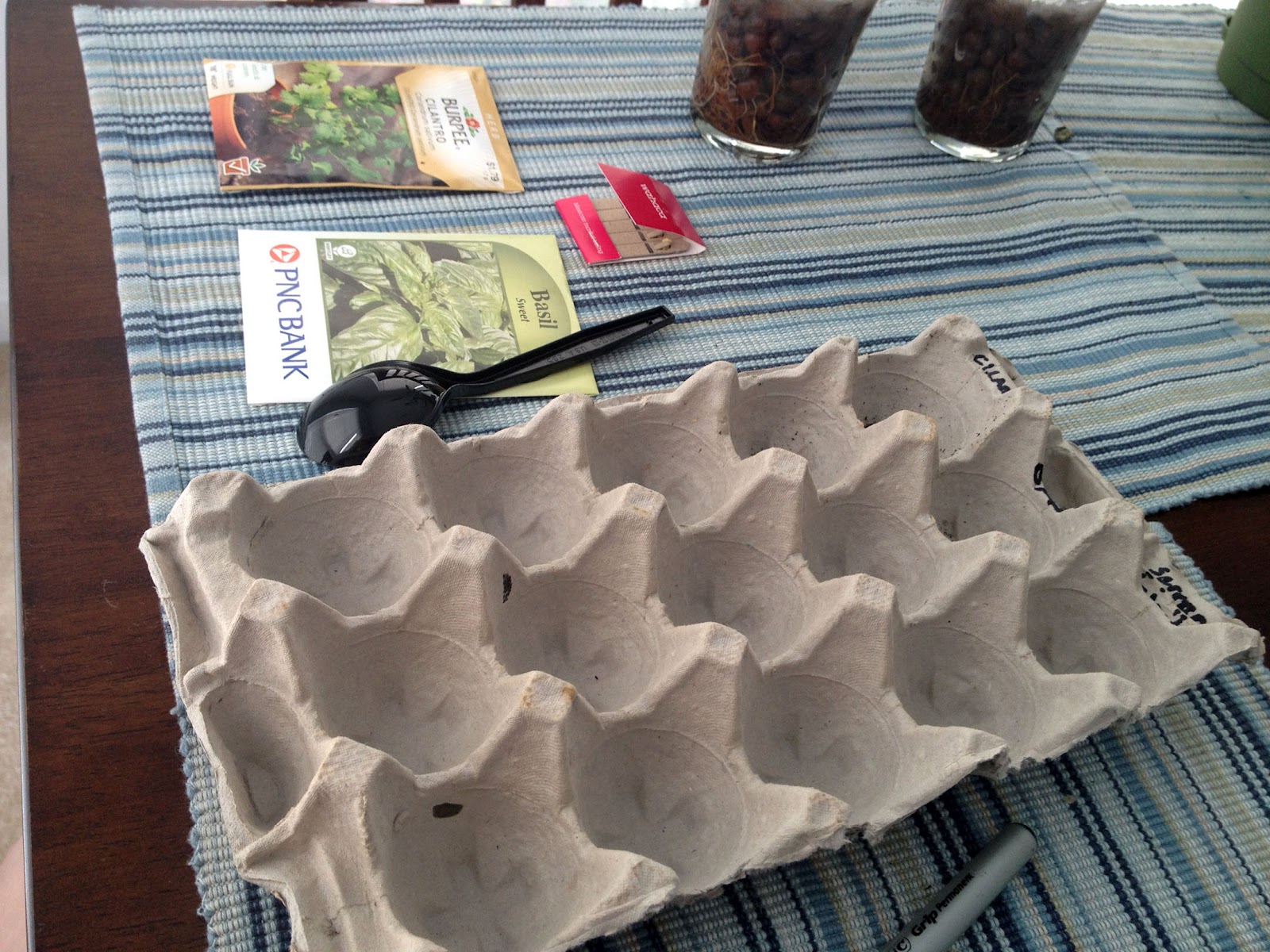 Starting Small and Growing Tall Egg Carton Gardening