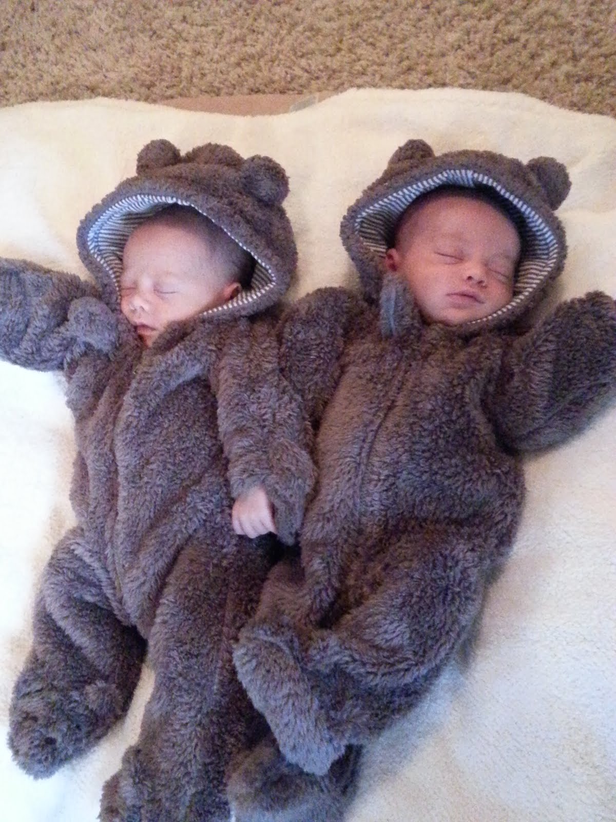 Little bears